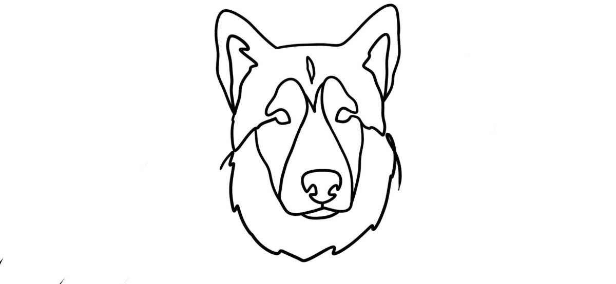 Sofia Oliveira - Ovar - Hundeausführung