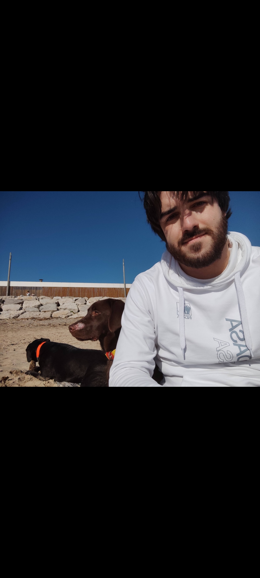 Tiago Lourenço - Vila Franca de Xira - Cuidar tus mascotas