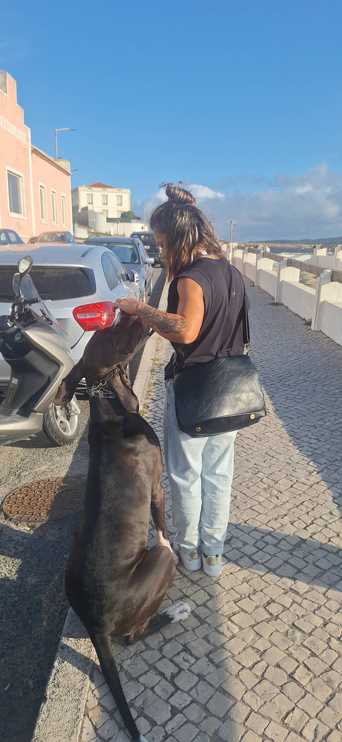 Joaosilva.dogtrainer - Caldas da Rainha - Treino de Cães