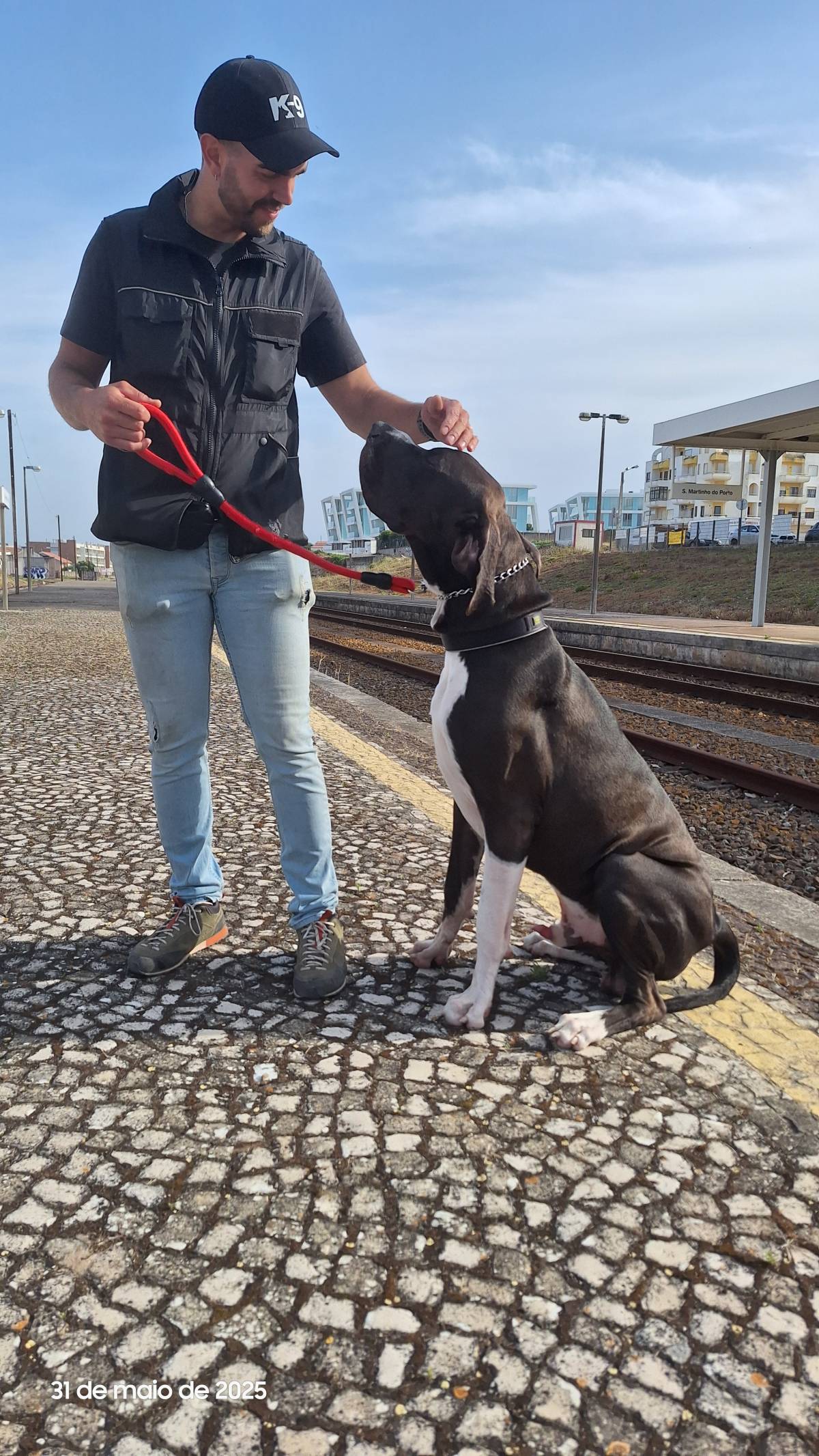 Joaosilva.dogtrainer - Caldas da Rainha - Treino de Animais