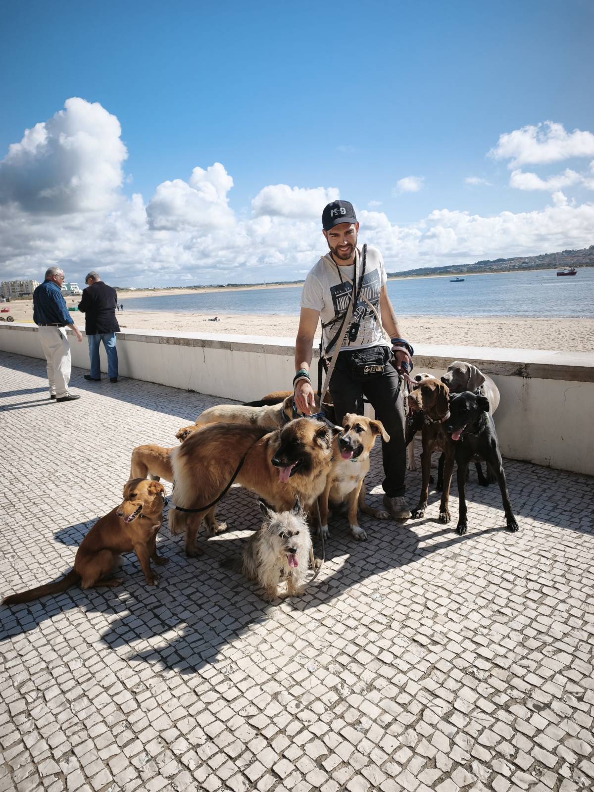 Joaosilva.dogtrainer - Caldas da Rainha - Modificação de Comportamento Animal