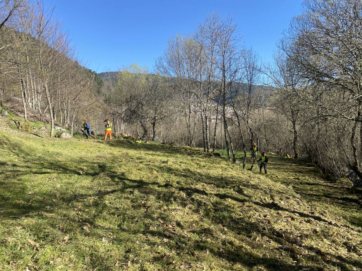 GEONACIONAL UNIPESSOAL LDA. - Torres Novas - Land Leveling and Grading - Small Scale (less than 1 acre)