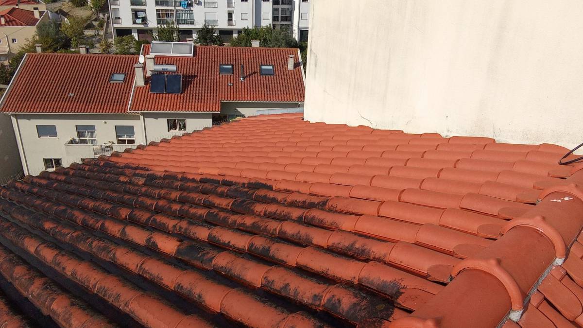 Lx Telhados - Almada - Limpeza de Telhado