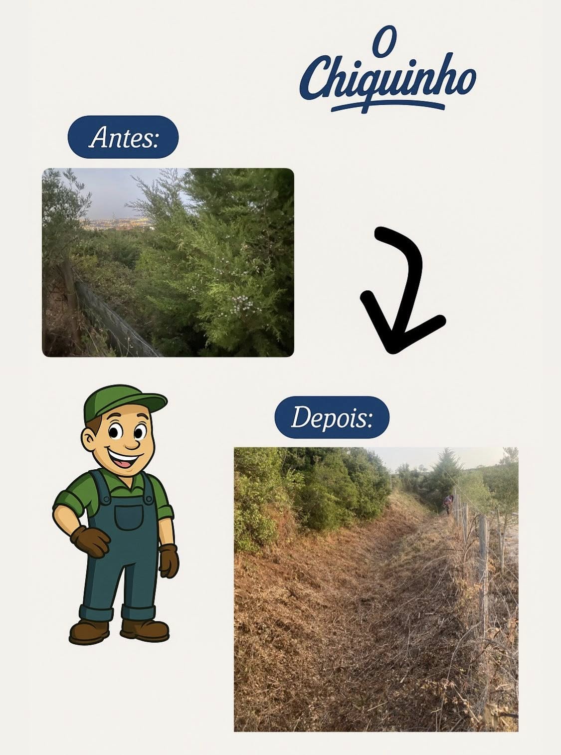 GEONACIONAL by O Chiquinho - Loures - Remoção de Tronco de Árvore