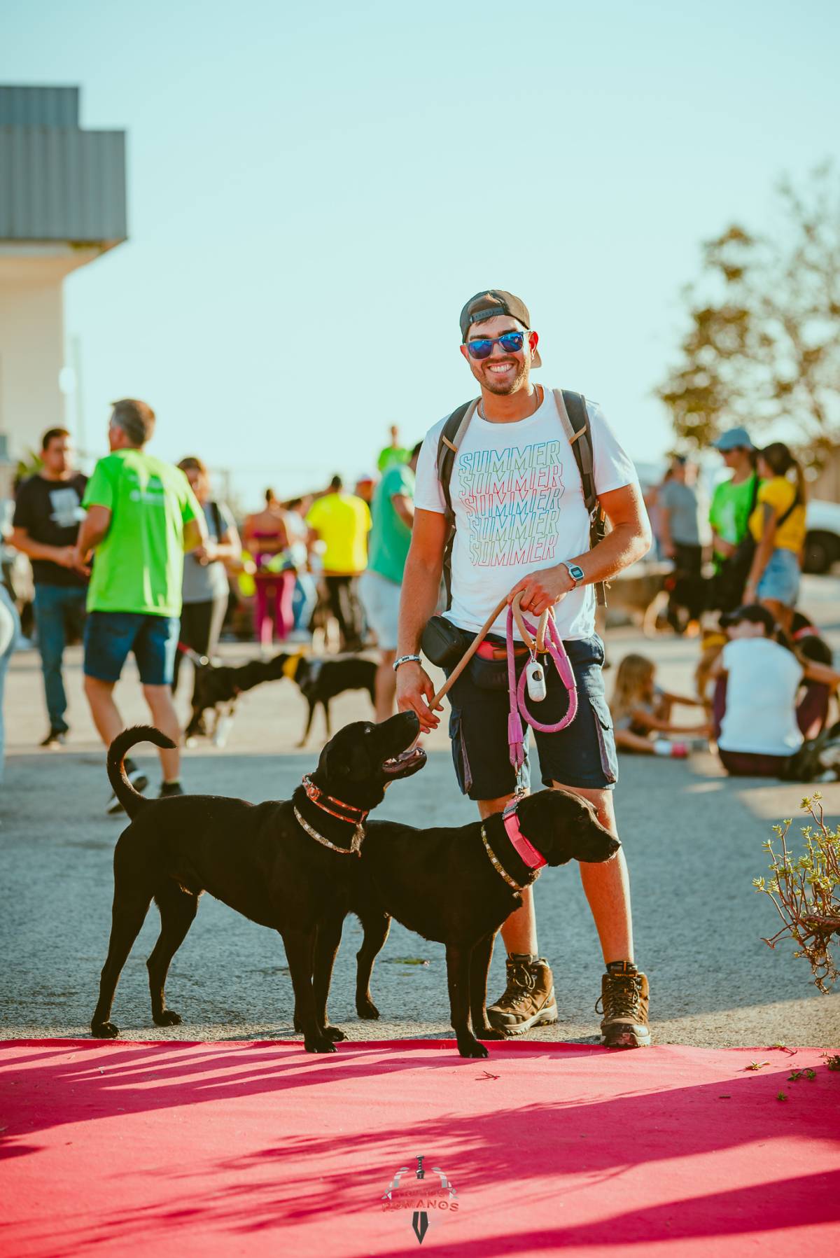 Joaosilva.dogtrainer - Caldas da Rainha - Treino de Animais