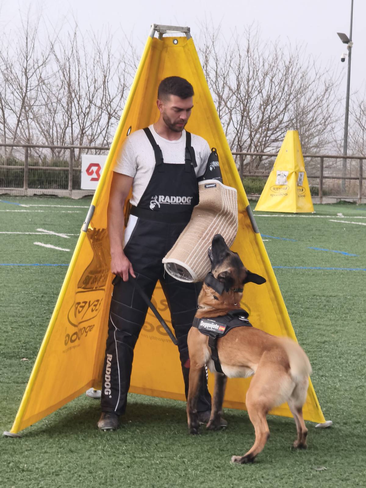 Joaosilva.dogtrainer - Caldas da Rainha - Dog Walking