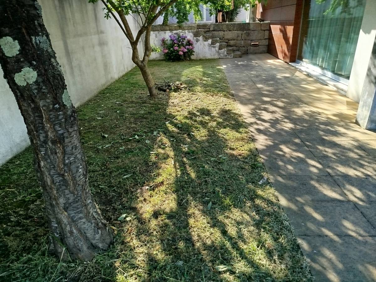 Servicos de limpezas e servicos domésticos - Vila do Conde - Tree Trimming and Maintenance