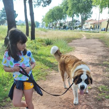Joaosilva.dogtrainer - Caldas da Rainha - Treino de Cães