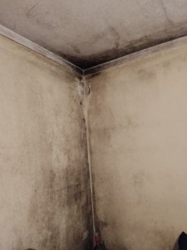 Pintor de Interiores