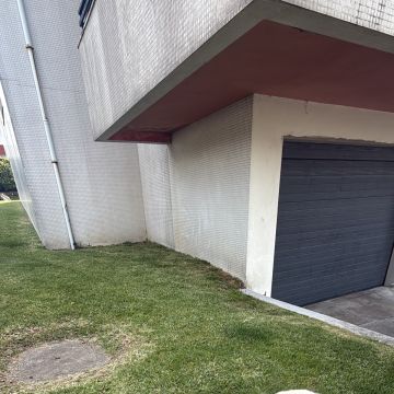 Patudos e Peludos - Braga - Cat Sitting