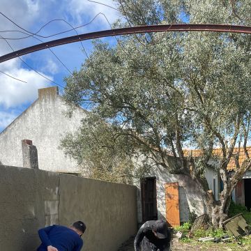 Júlio Lima Jardinagem - Montijo - Jardinagem