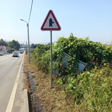 AB VertSol - Maia - Gartenarbeiten
