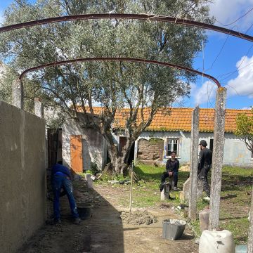 Júlio Lima Jardinagem - Montijo - Corte e Aparação de Relvado