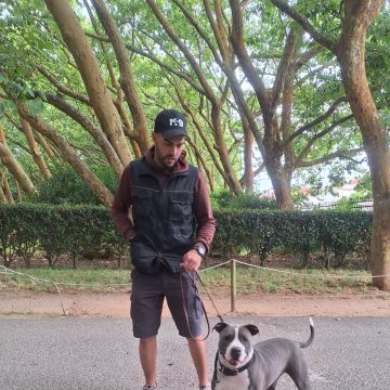Joaosilva.dogtrainer - Caldas da Rainha - Treino de Cães