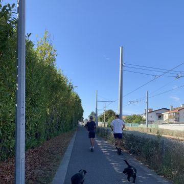 Passeios felizes - Maia - Cuidar tus gatos