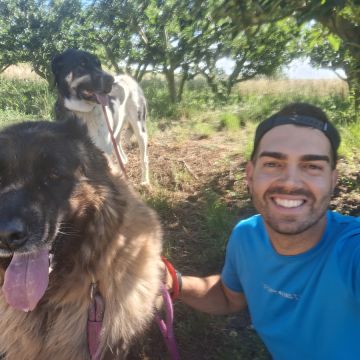 Joaosilva.dogtrainer - Caldas da Rainha - Cat Sitting