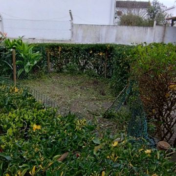 Júlio Lima Jardinagem - Montijo - Tratamento de Relvado