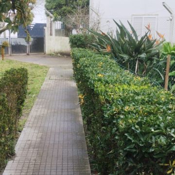 Júlio Lima Jardinagem - Montijo - Remoção de Arbustos