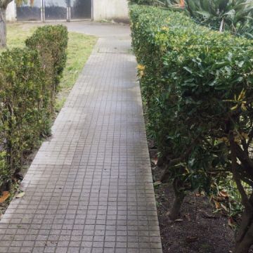 Júlio Lima Jardinagem - Montijo - Limpa-neves (Residencial)