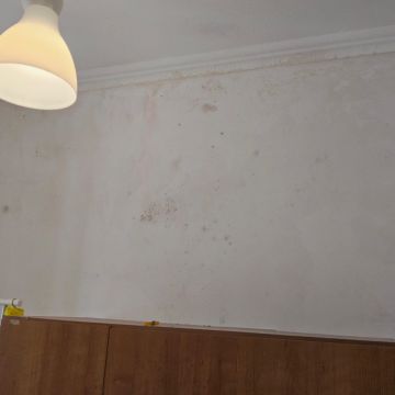 Royalpintura - Lisboa - Tür lackieren
