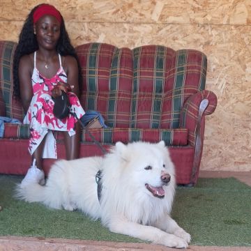 Joaosilva.dogtrainer - Caldas da Rainha - Pet Sitting e Pet Walking