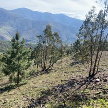 GEONACIONAL UNIPESSOAL LDA. - Torres Novas - Xeriscaping