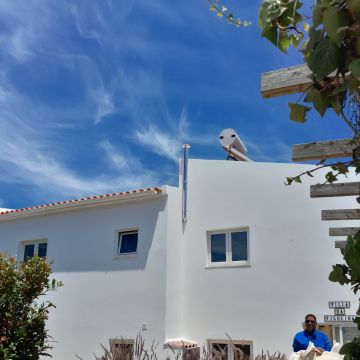 A.Dias - Lagos - Calafetagem