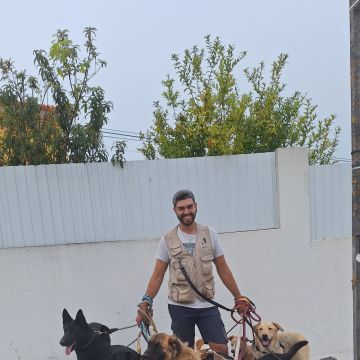Joaosilva.dogtrainer - Caldas da Rainha - Pet Sitting and Walking