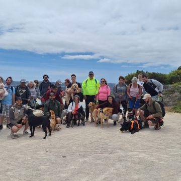 Joaosilva.dogtrainer - Caldas da Rainha - Hotel para Cães