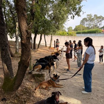 Joaosilva.dogtrainer - Caldas da Rainha - Treino de Cães - Aulas