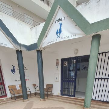 Joaosilva.dogtrainer - Caldas da Rainha - Dog Sitting