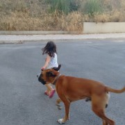 Maria Inês Milheiro - Sintra - Hotel de Animais de Estimação