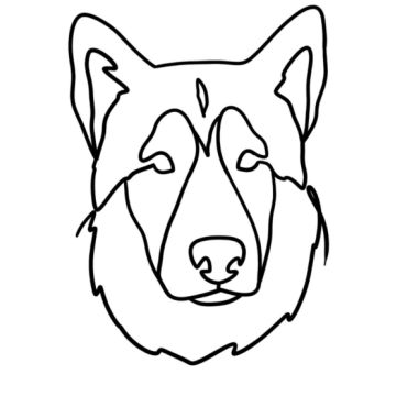 Sofia Oliveira - Ovar - Hundeausführung