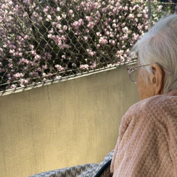 Etiene Francisco - Porto - Grundstücksreinigung