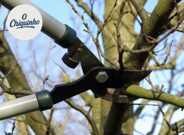 GEONACIONAL by O Chiquinho - Loures - Jardinagem