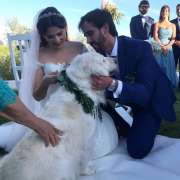 CELEBRANTE DE CASAMENTOS E WEDDING PLANNER - Palmela - Celebrante de Casamentos