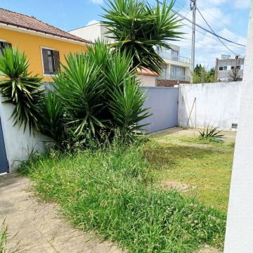 Servicos de limpezas e servicos domésticos - Vila do Conde - Shrub Removal