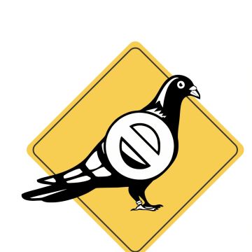 AntiPombos.pt - Workalp Bird Control - Anadia - Hochdruckreinigung
