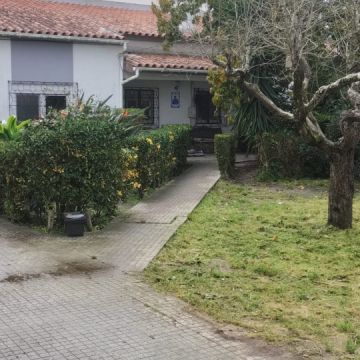 Júlio Lima Jardinagem - Montijo - Jardinagem e Relvados