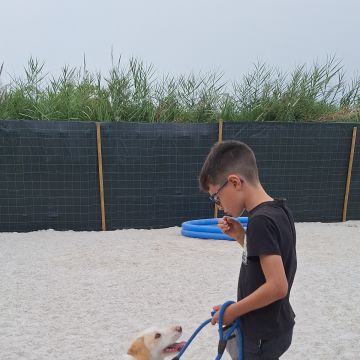 Joaosilva.dogtrainer - Caldas da Rainha - Pet Hotel