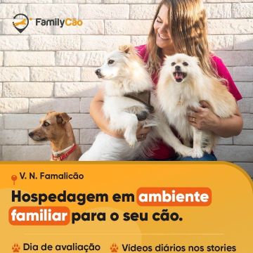 Petsitter Famalicão - Vila Nova de Famalicão - Pet Sitting