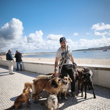 Joaosilva.dogtrainer - Caldas da Rainha - Modificação de Comportamento Animal