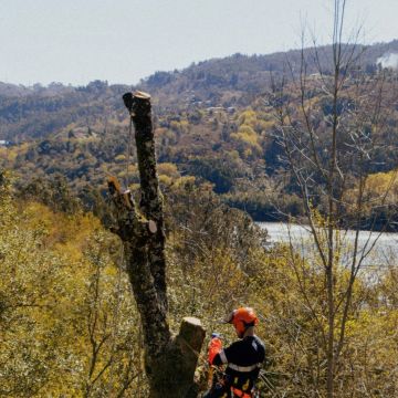 AB VertSol - Maia - Baumschnitt und Grundstückspflege