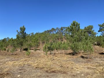GEONACIONAL by O Chiquinho - Loures - Instalação de Sistema de Rega Gota a Gota
