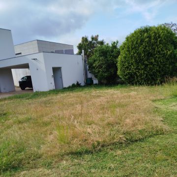 Servicos de limpezas e servicos domésticos - Vila do Conde - Tree Stump Grinding and Removal