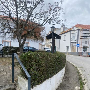 GEONACIONAL UNIPESSOAL LDA. - Torres Novas - Tree Stump Grinding and Removal