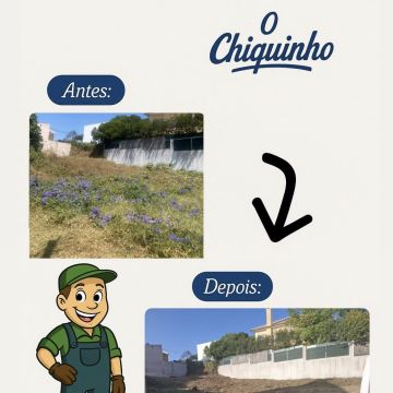 GEONACIONAL by O Chiquinho - Loures - Remoção de Arbustos