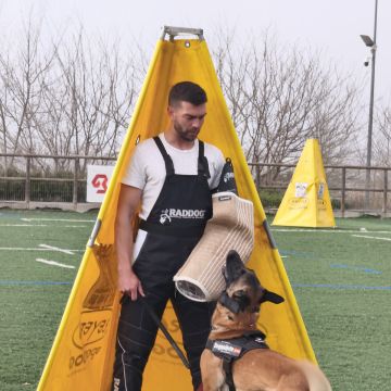 Joaosilva.dogtrainer - Caldas da Rainha - Dog Walking