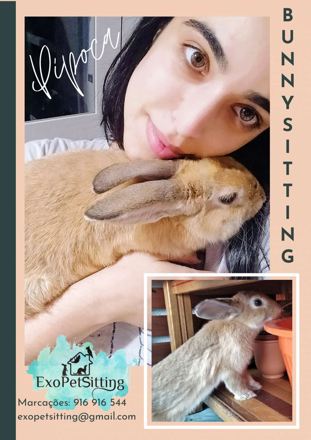 EXOPETSITTING - Pet-sitting Animais Exóticos e Acupuntura Veterinária - Mafra - Pet Sitting and Walking