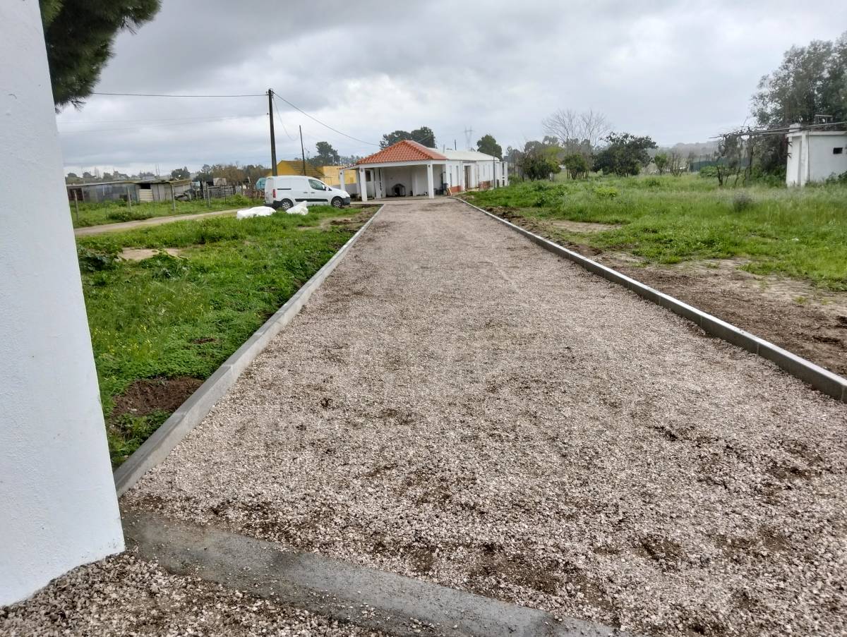 Ritmos 23 - Montijo - Instalación de alfombras